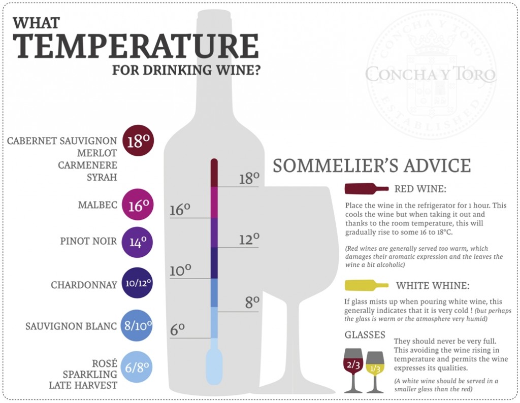 infographic_What-temperature-for-drinking-wine_Fans-1024x794