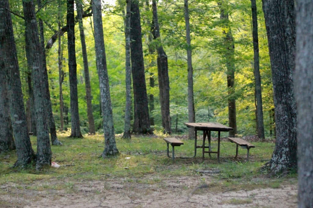 lugar picnic