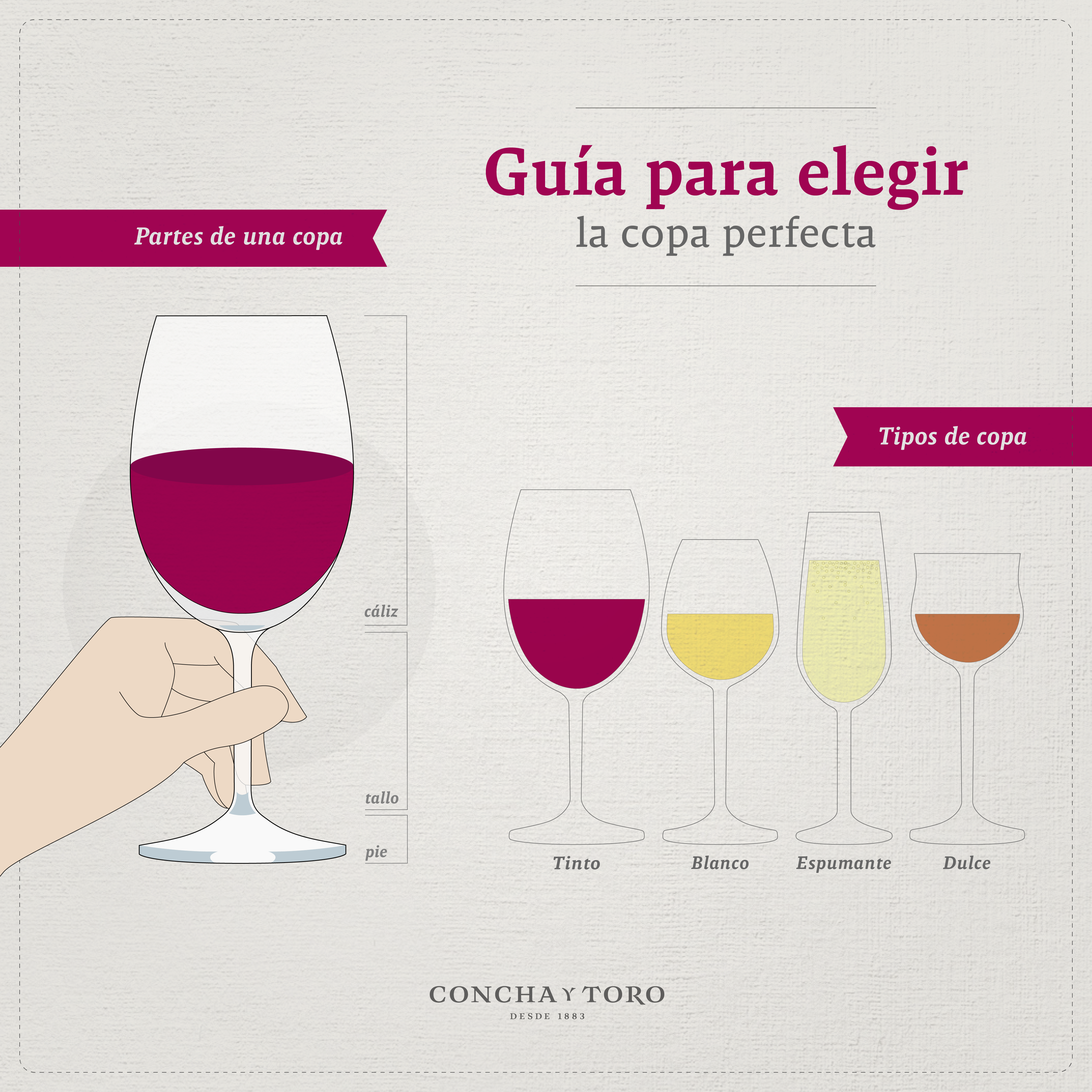 Los diez principales tipos de copa y los vinos que mejor les corresponden