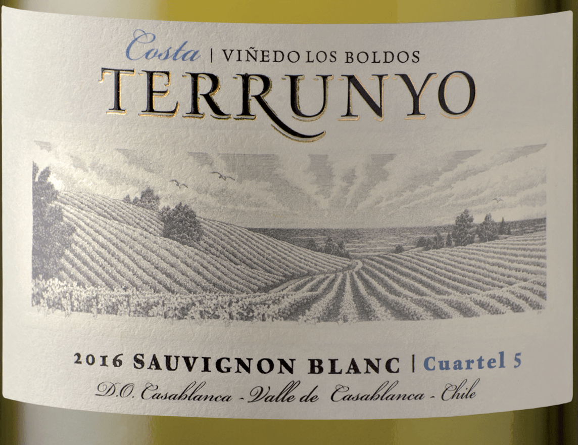 Terrunyo Sauvignon Blanc 2016 - etiqueta