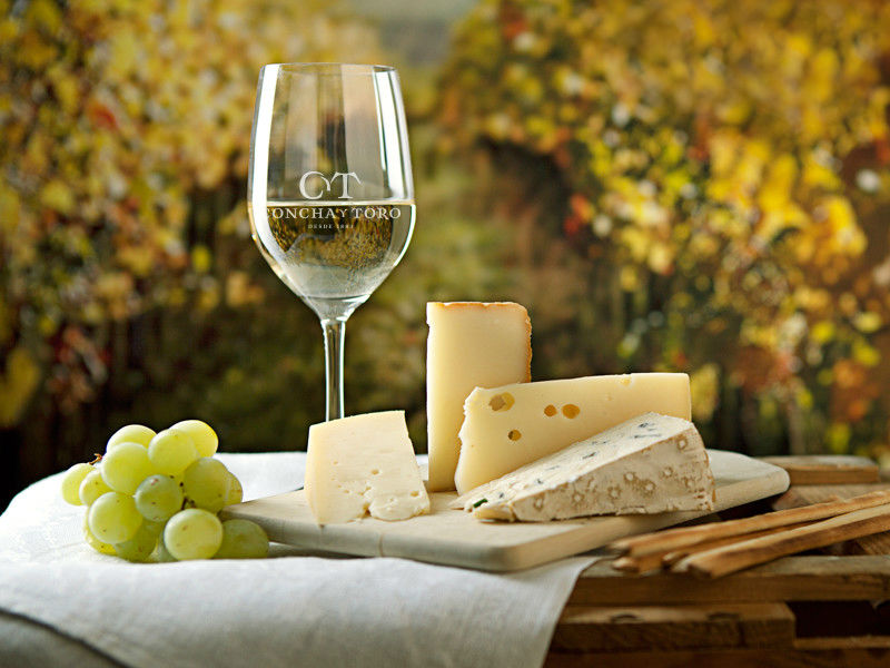 Tabla quesos vino blanco